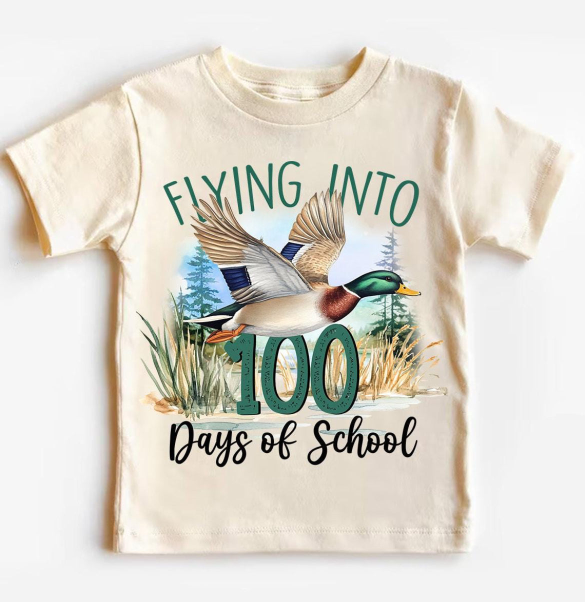 Flying Into 100 Days