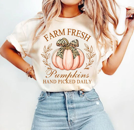 Farm Fresh pumpkins hand picked